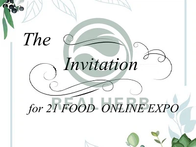 Письмо-приглашение на 21 FOOD ONLINE EXPO